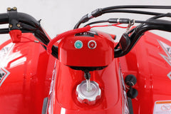 Rock 110 Kids ATV With Reverse - TAO Motor